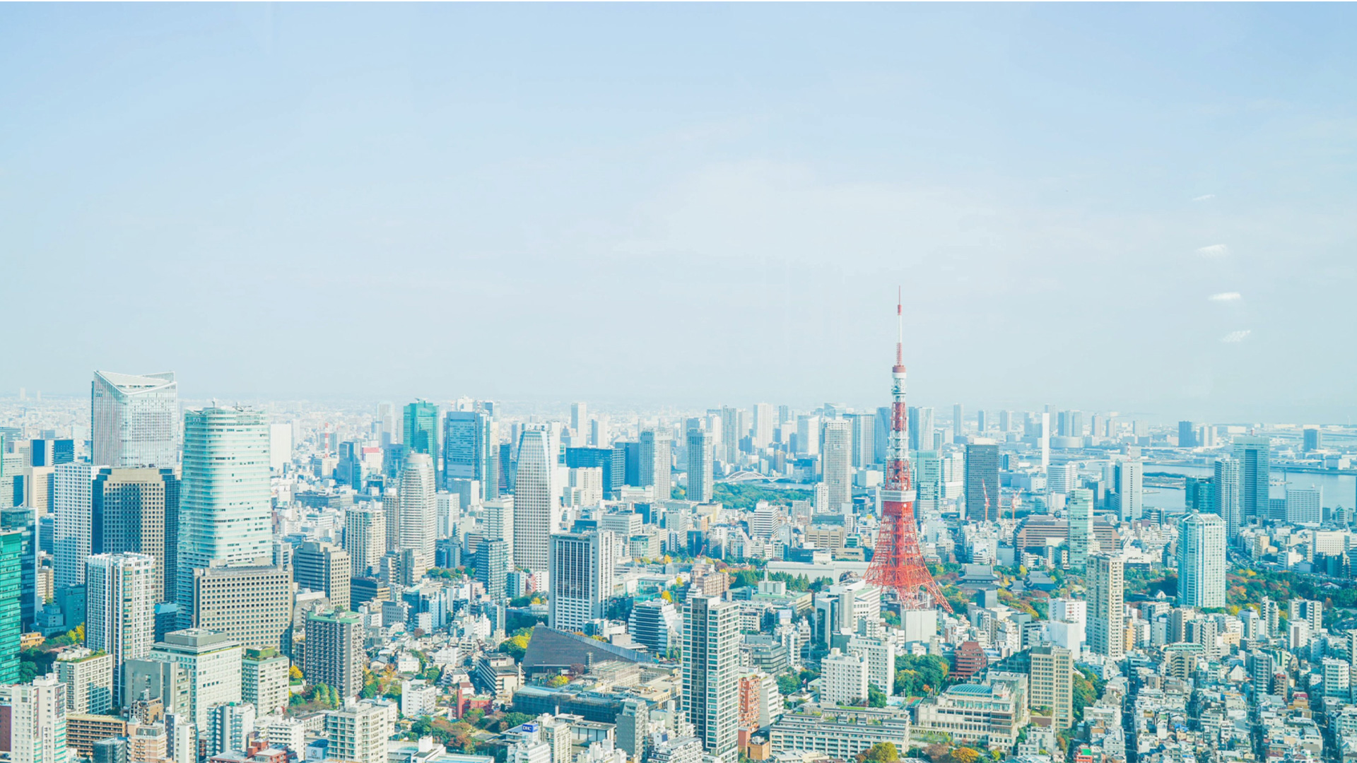 東京管財